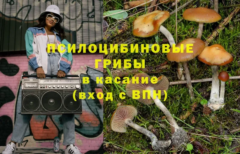 цены   Нерюнгри  Псилоцибиновые грибы Magic Shrooms 